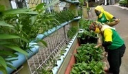 Indikator 22_Kampung Hejo Sae di Kota Bandung